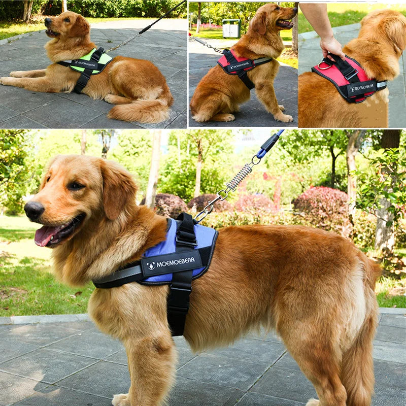 PoochPulse Personalized Harness™