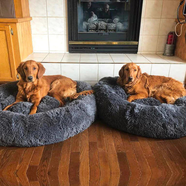 Slumber Sanctuary Calming Dog Bed™