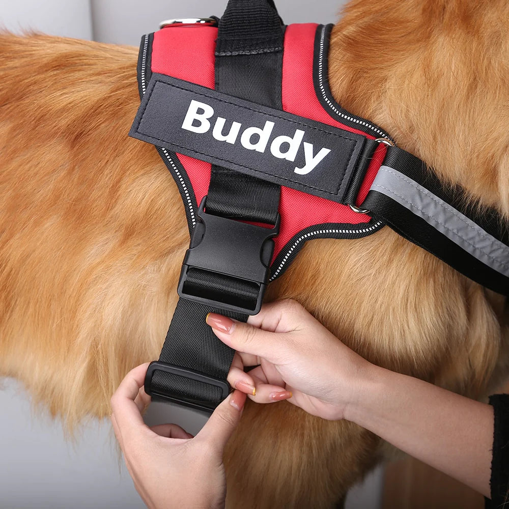 PoochPulse Personalized Harness™