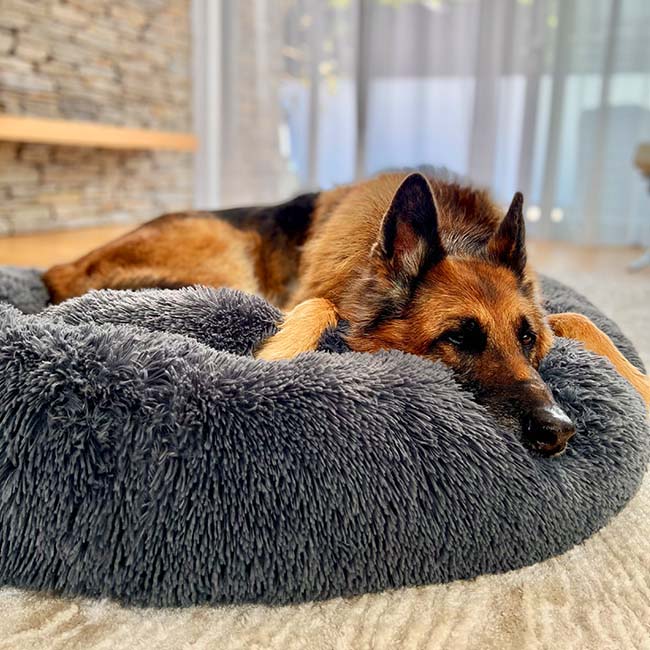 Slumber Sanctuary Calming Dog Bed™