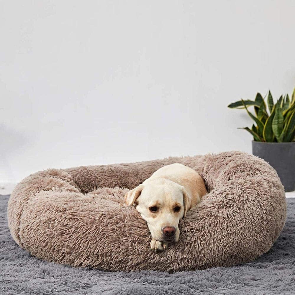 Slumber Sanctuary Calming Dog Bed™