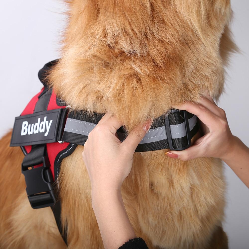 PoochPulse Personalized Harness™